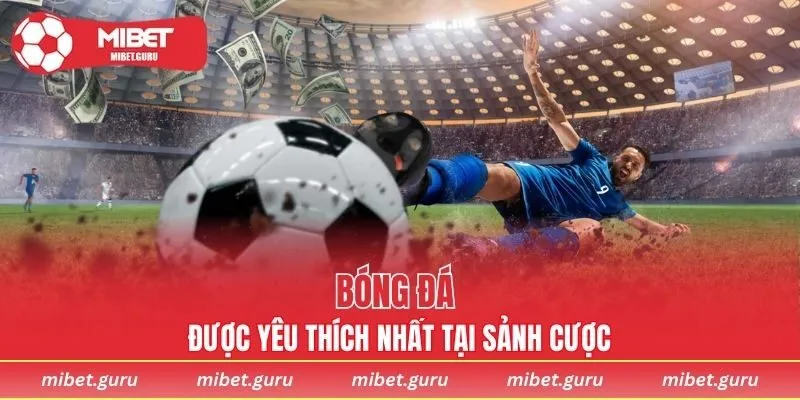 Bóng đá được yêu thích nhất tại sảnh cược